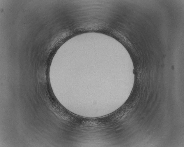 X0000061100635200512161349