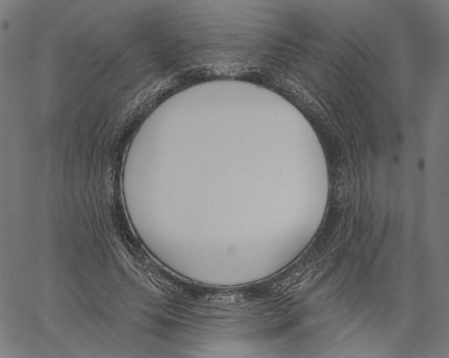 X0000061100639200512161349