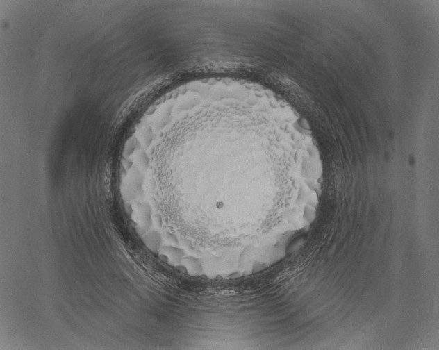 X0000061100640200512161349