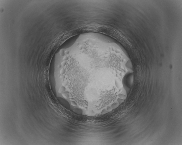 X0000061100641200512161349