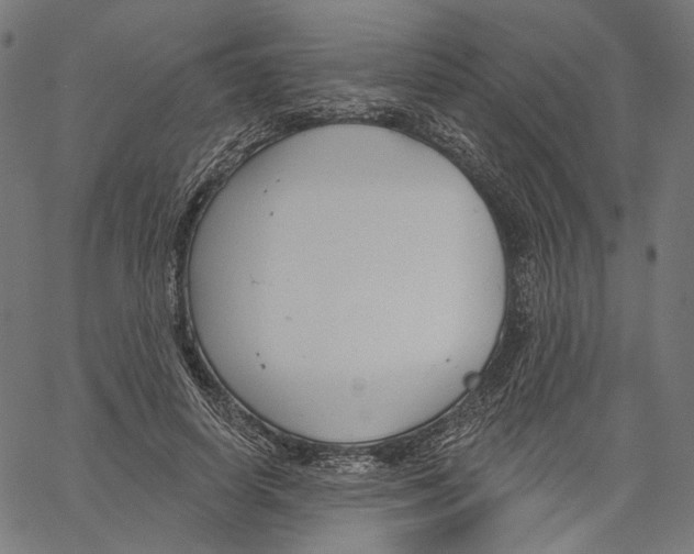 X0000061100642200512161349