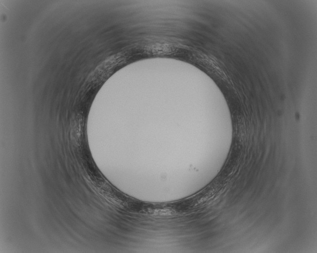 X0000061100645200512161349