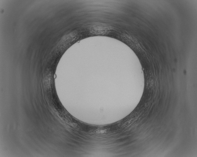 X0000061100647200512161349