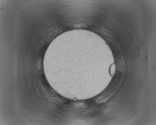 X0000061100651200512161349