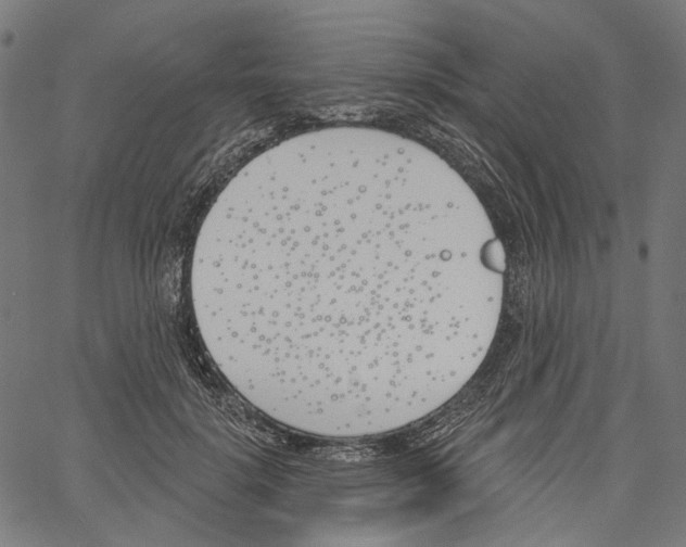 X0000061100652200512161349
