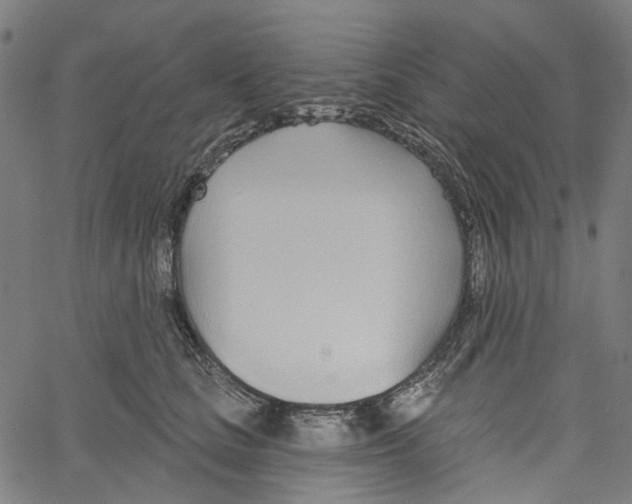 X0000061100661200512161349