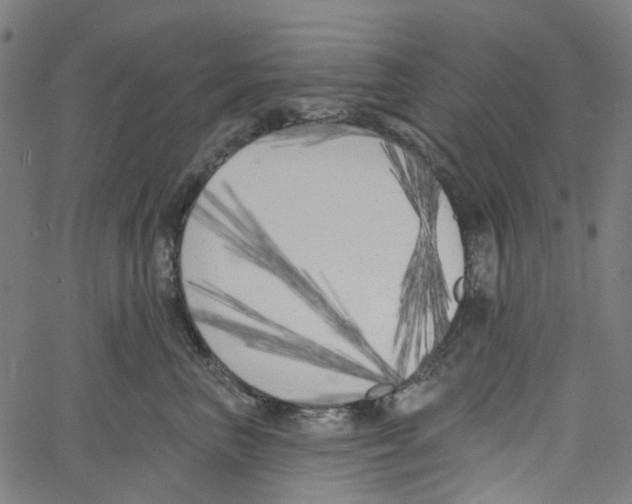 X0000061100667200512161349