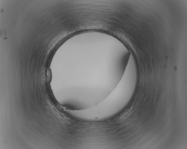 X0000061100676200512161349