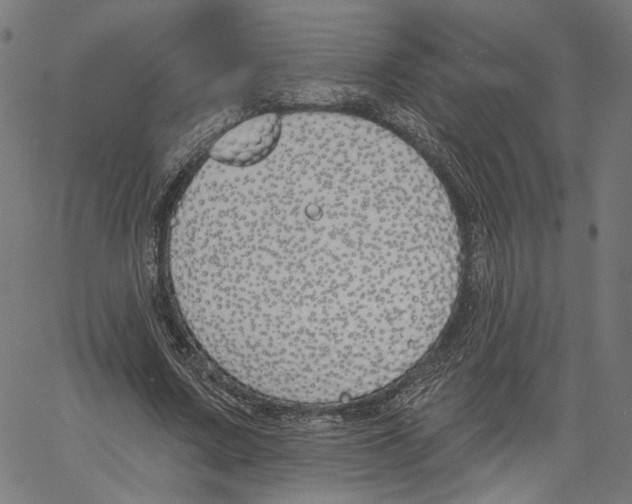 X0000061100683200512161349