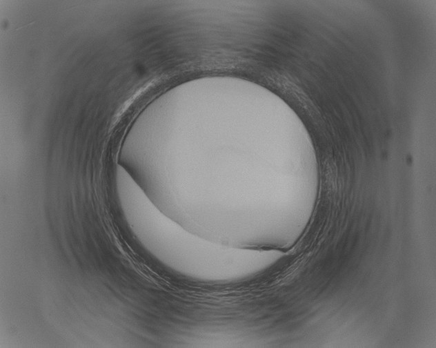 X0000061100684200512161349