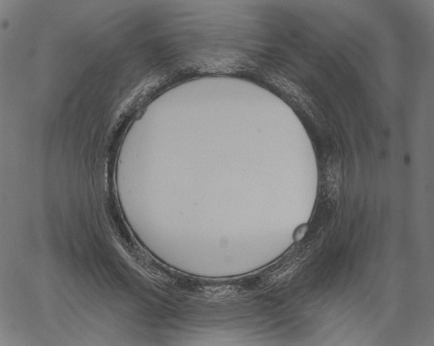 X0000061100686200512161348