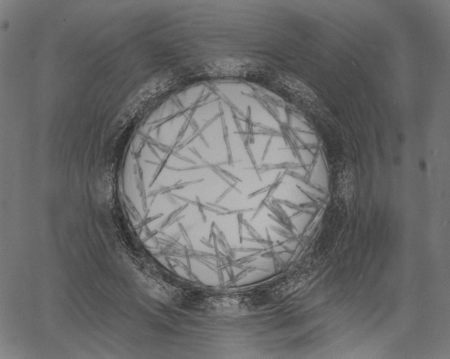 X0000061100687200512161348