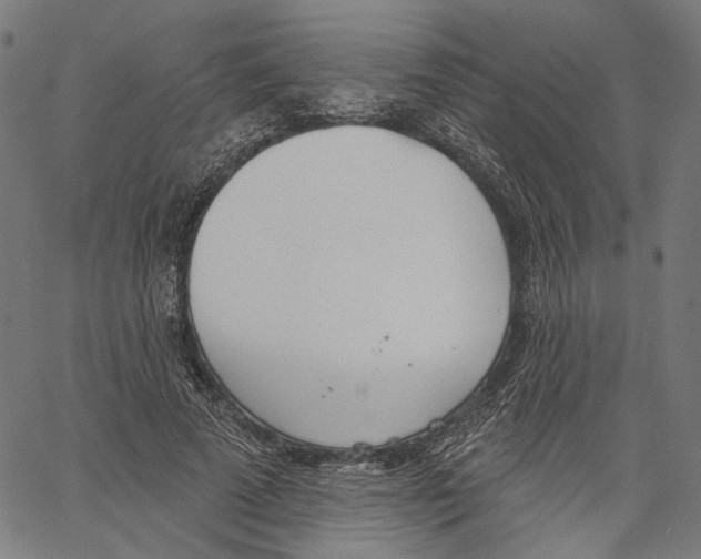 X0000061100689200512161348
