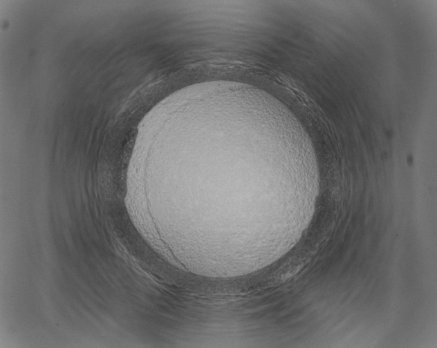 X0000061100696200512161348