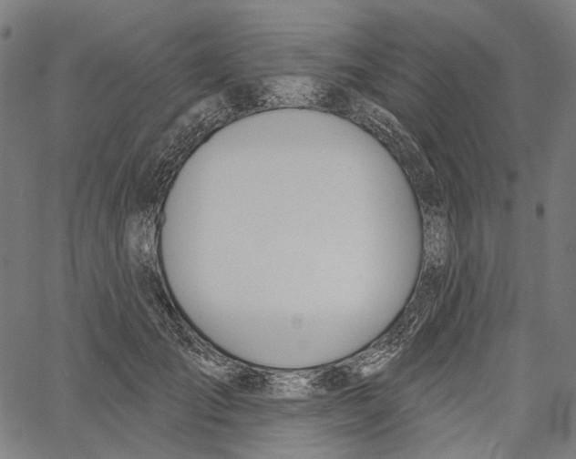 X0000061100701200512161348