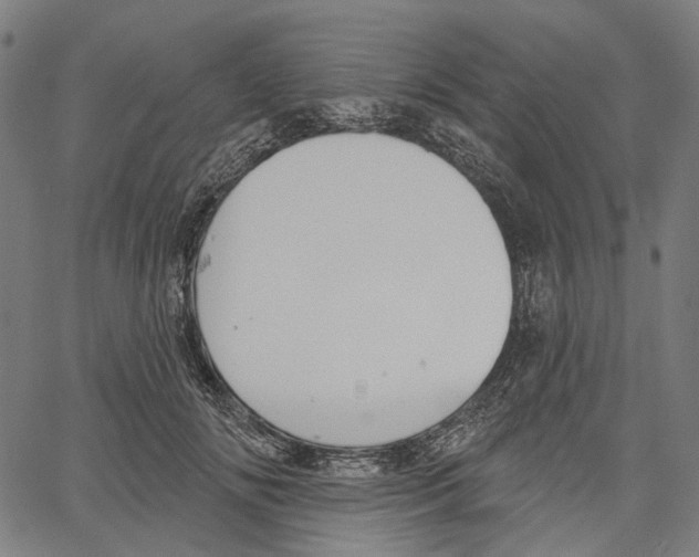 X0000061100702200512161348