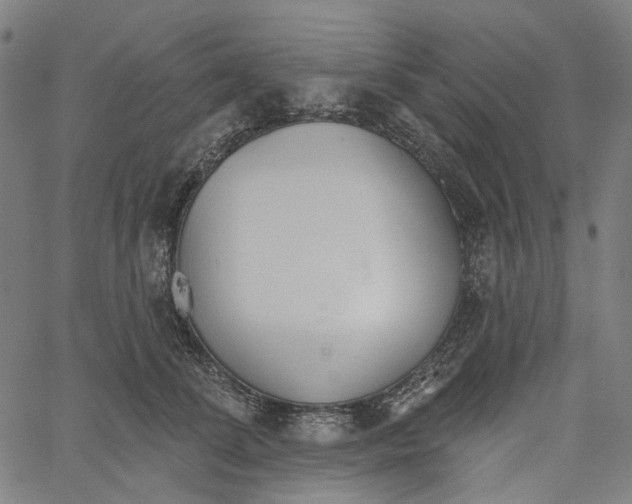 X0000061100708200512161348