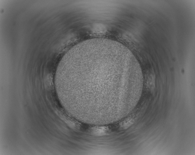 X0000061100711200512161348