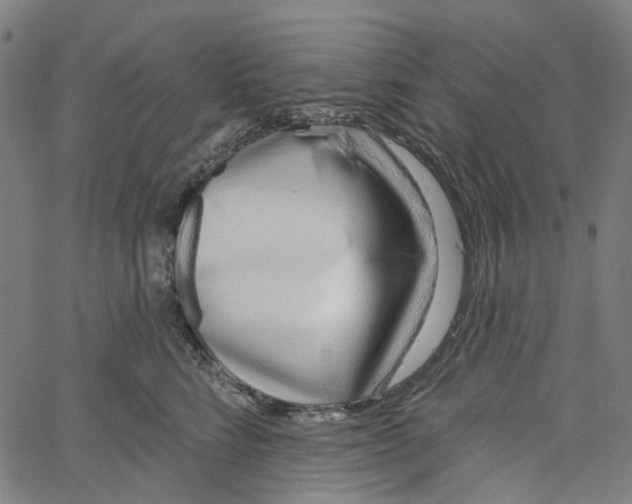 X0000061100712200512161348