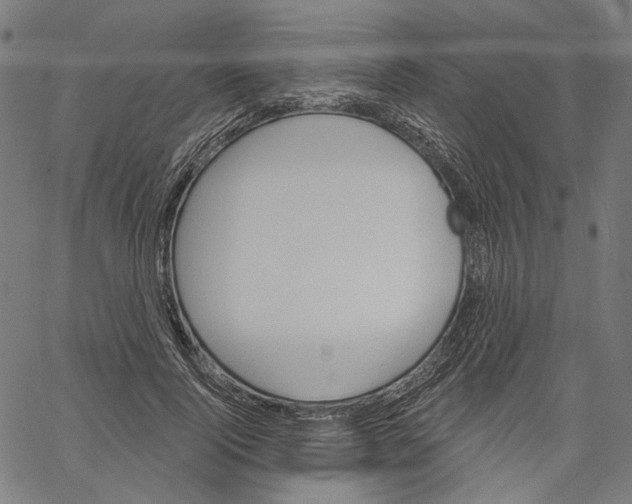 X0000061100740200512161347