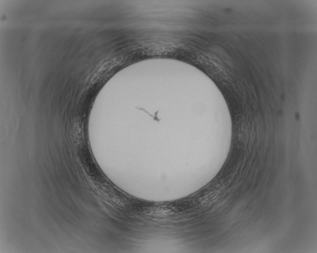 X0000061100743200512161347