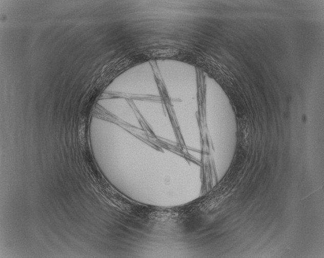 X0000061100745200512161347