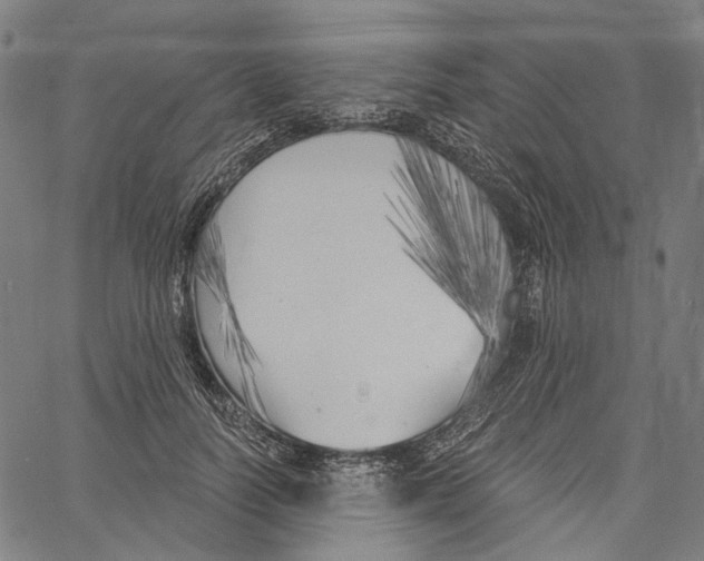 X0000061100746200512161348