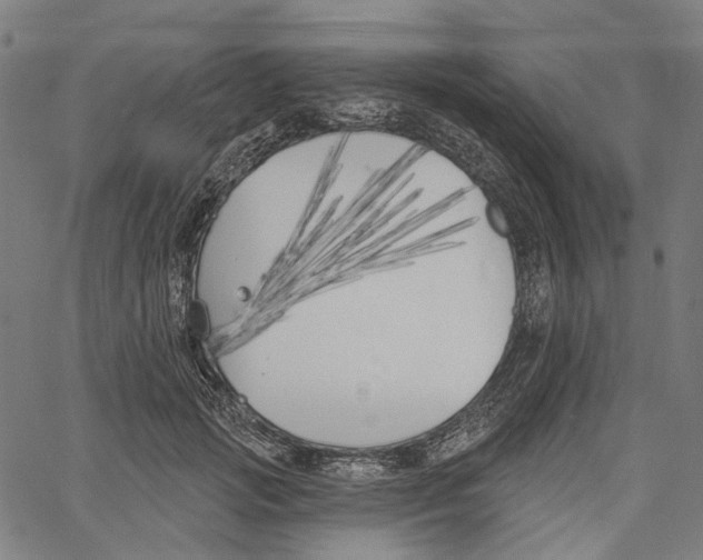 X0000061100749200512161348