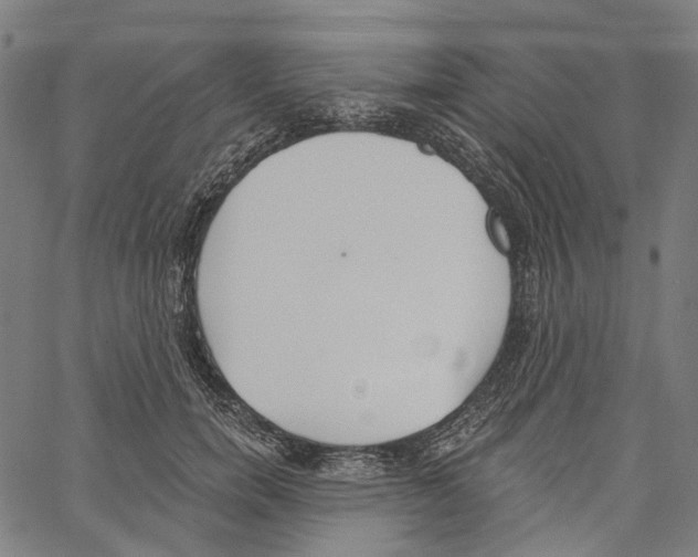 X0000061100750200512161348