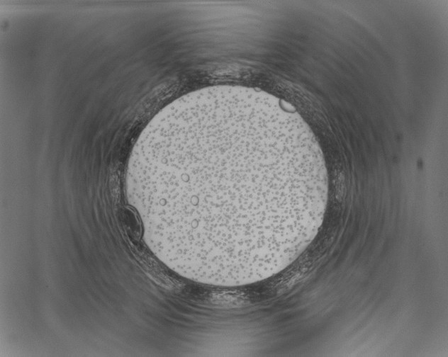 X0000061100753200512161348