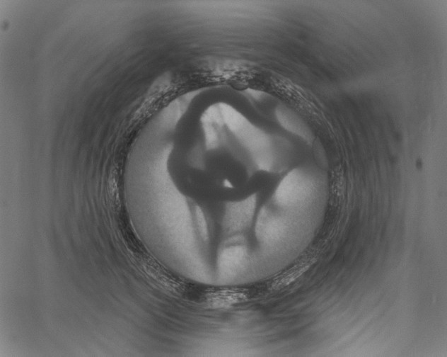 X0000061100754200512161348