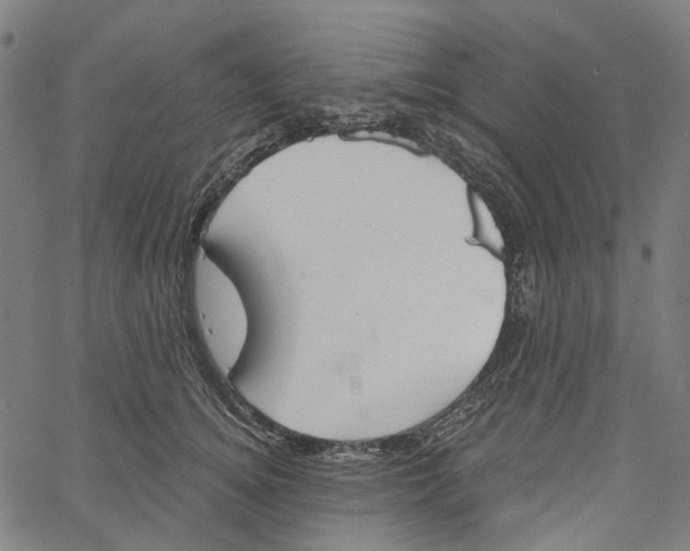 X0000061100756200512161348