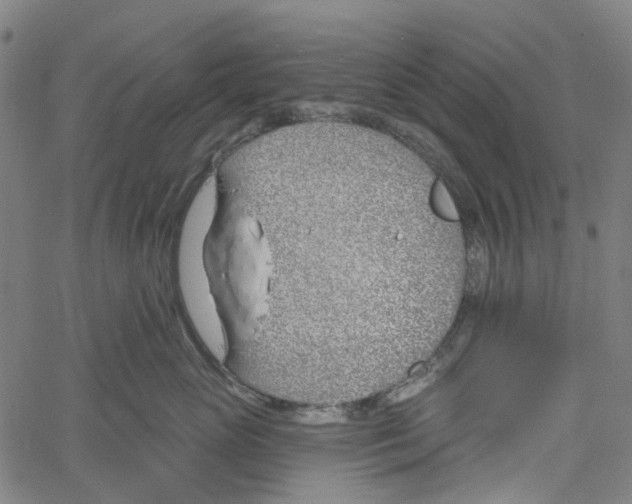 X0000061100765200512161348