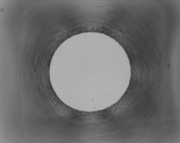X0000061100769200512161347