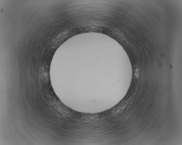 X0000061100771200512161347