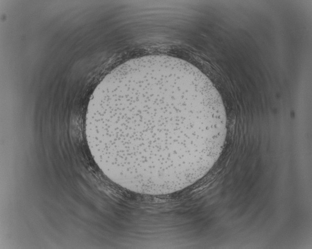 X0000061100772200512161347