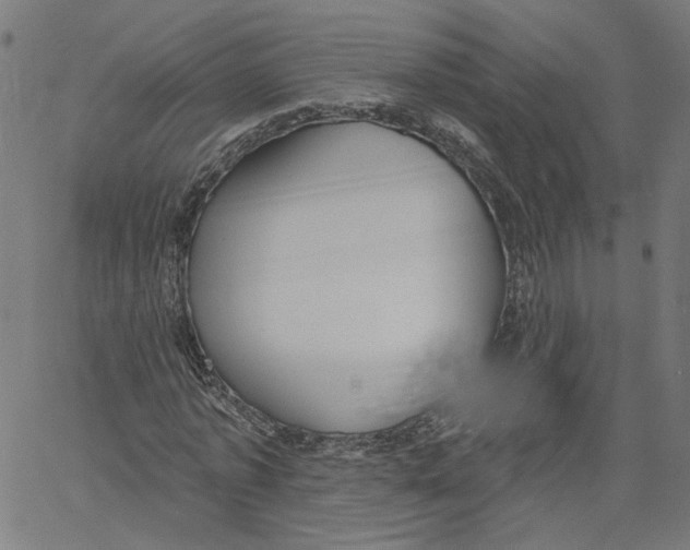 X0000061100773200512161347