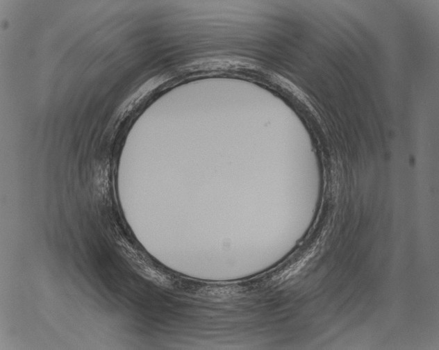 X0000061100778200512161347