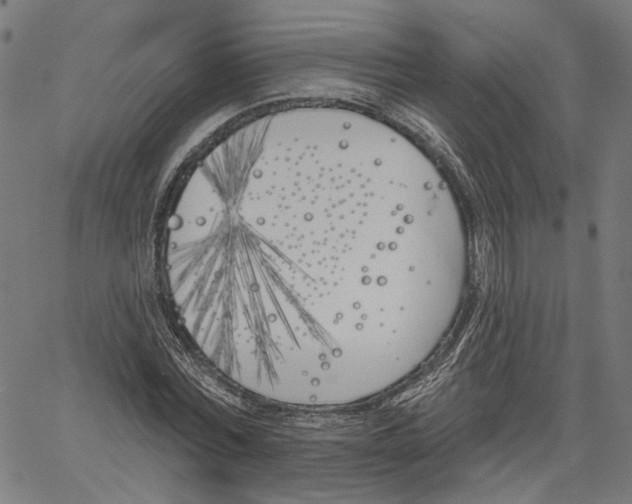 X0000061100780200512161347