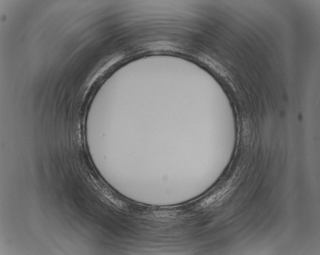 X0000061100782200512161347
