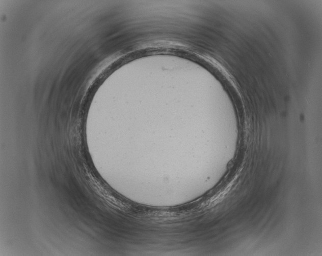 X0000061100783200512161347