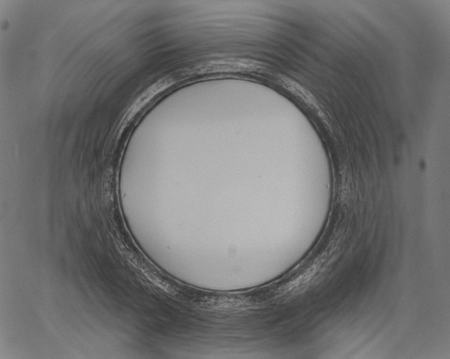 X0000061100786200512161347