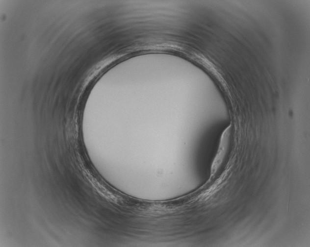 X0000061100787200512161347