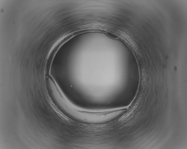 X0000061100788200512161347