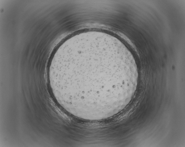 X0000061100791200512161347