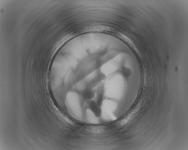 X0000061100802200512161347