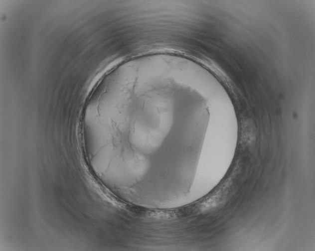 X0000061100806200512161346