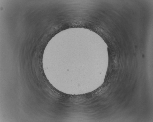 X0000061100817200512161346