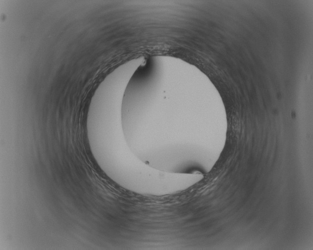 X0000061100818200512161346
