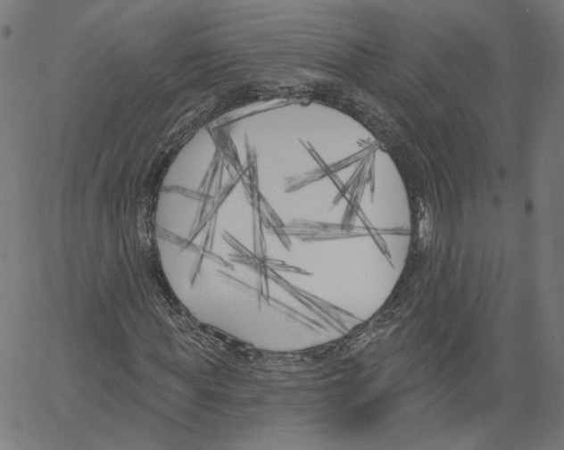 X0000061100819200512161346
